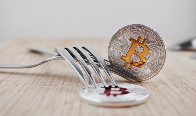 Cryptocurrency and Hard Forks