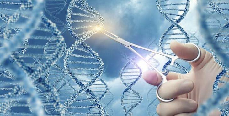 The Power of Stem Cell Therapy
