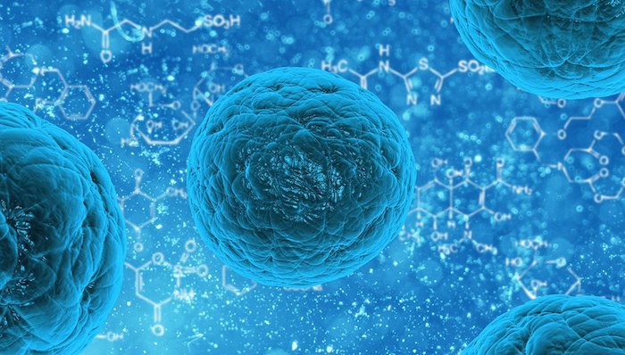 The Future of Stem Cell Therapy